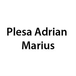 Plesa Adrian Marius