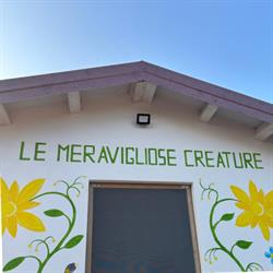 Le Meravigliose Creature