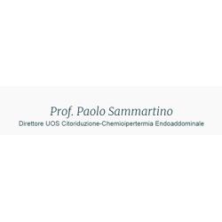 Prof. Paolo Sammartino