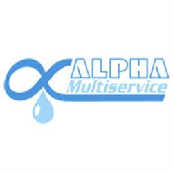 Alpha Multiservice SRL