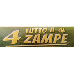 Tutto a 4 Zampe