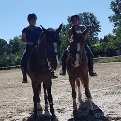 A.S.D Fontebranda Equitazione