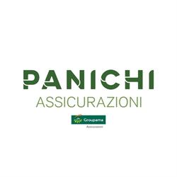 Panichi Assicurazioni agente Panichi Marco