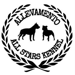 Allevamento All Stars Kennel Amstaff e Staffy
