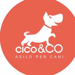 Asilo Per Cani Roma Ass.Cult. "Cico & Co"