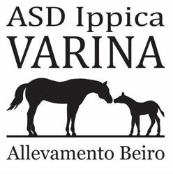 Asd ippica Varina