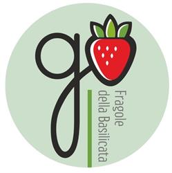 Fragole della Basilicata