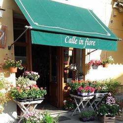 Calle In Fiore Di Meacci Patrizia