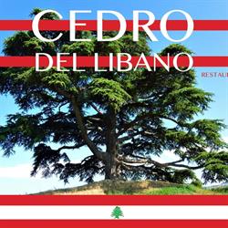 Cedro del Libano