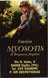 Estetica Myosotis