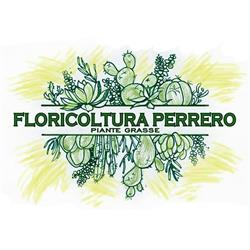 Floricoltura PERRERO