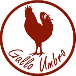 GALLO UMBRO dal 1966