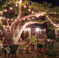 Garden Cafè Lounge Bar - SALEMI