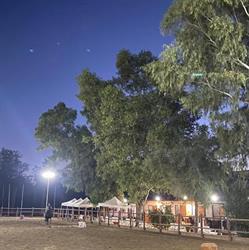JUMPING EQUESTRIAN ACADEMY