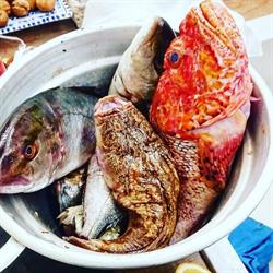 Marettimo i Freschi - Street Food 37.2.2 e Wine Bar
