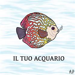 IL TUO ACQUARIO