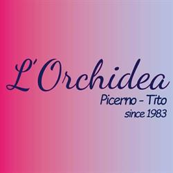 L'Orchidea Vanda Soc.Coop.R.L.