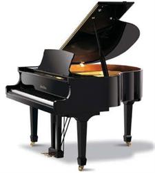 La.ra. Pianoforti S.a.s.