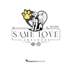 Same Love Labrador