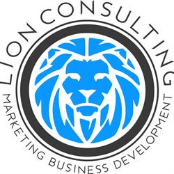 Lion Consulting srl