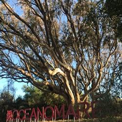OceanoMare