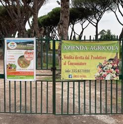 Orto Roma Aps