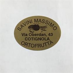 Savini Massimo
