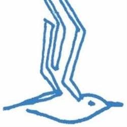 Associazione Il Gabbiano - noi come gli altri