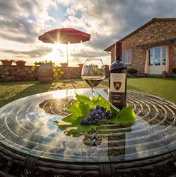Azienda Agricola Stefanini - Tronchetti