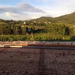 Azienda Facchin