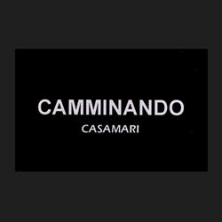 Camminando
