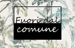 Fuori dal Comune