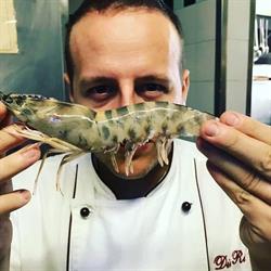 La Scaletta - Jet Catering