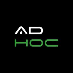 AD HOC SRL - Ingegneria informatica e strategia per il digitale