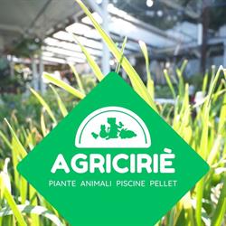 Agricirie