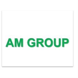 Am Group