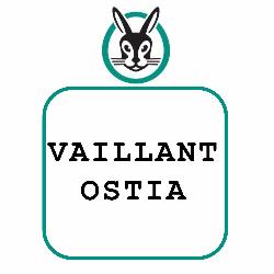 Vaillant Ostia (Clima Tecno Service Srl)