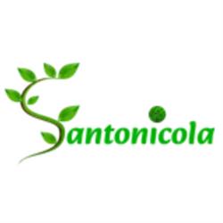 Azienda Agricola Santonicola
