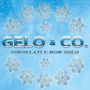 Gelo & Co. Surgelati e non solo