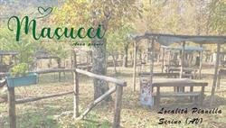 Area Picnic Masucci Serino