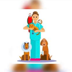 Ambulatorio Veterinario Dr.ssa Valentina Baldo