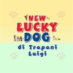 New Lucky Dog