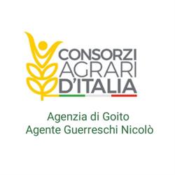 Consorzi Agrari d’Italia - Agenzia di Goito
