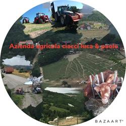 Azienda agricola ciacci luca
