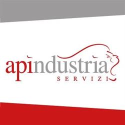Apindustria Servizi