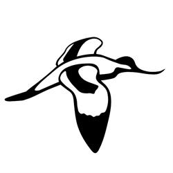 CISO - Centro italiano studi ornitologici