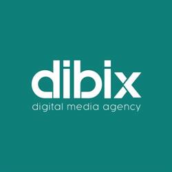 Web Marketing SEO & ADV Dibix Srl