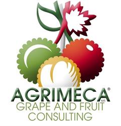 Grape Consulting Srl