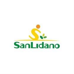 San lidano Angurie