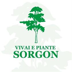 Vivai e piante Sorgon